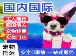 兴东国际宠物托运 【国